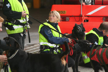 Training with the Norwegian resque dogs